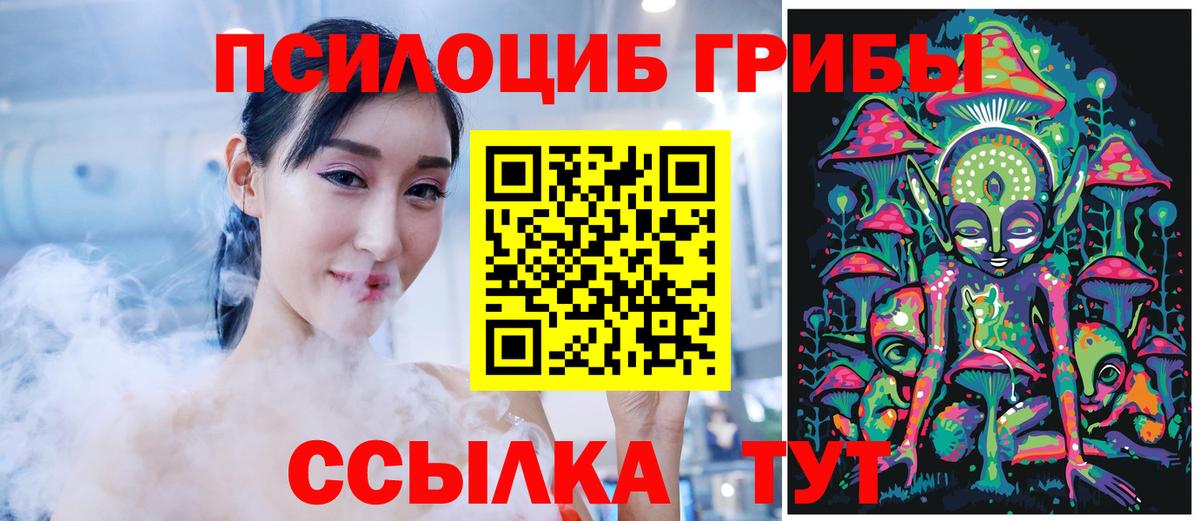 Углич  Галлюциногенные грибы Psilocybe  Псилоцибиновые грибы прущие грибы  Вход с VPN 